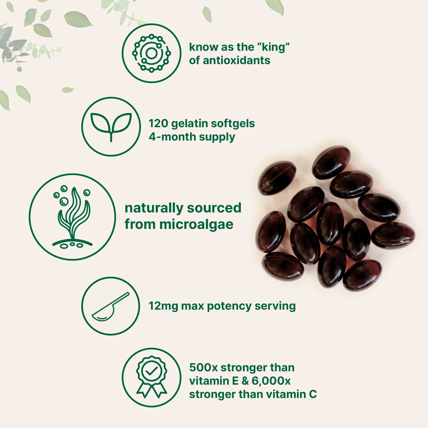 Liver Detox